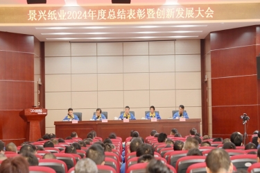 乘风破浪 逐梦前行 | 122cc太阳集成游戏纸业2024年度总结表扬暨立异生长大会盛大召开