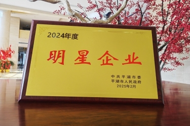 新春新景新气象 | 122cc太阳集成游戏纸业在平湖三干大会上喜摘声誉！！！